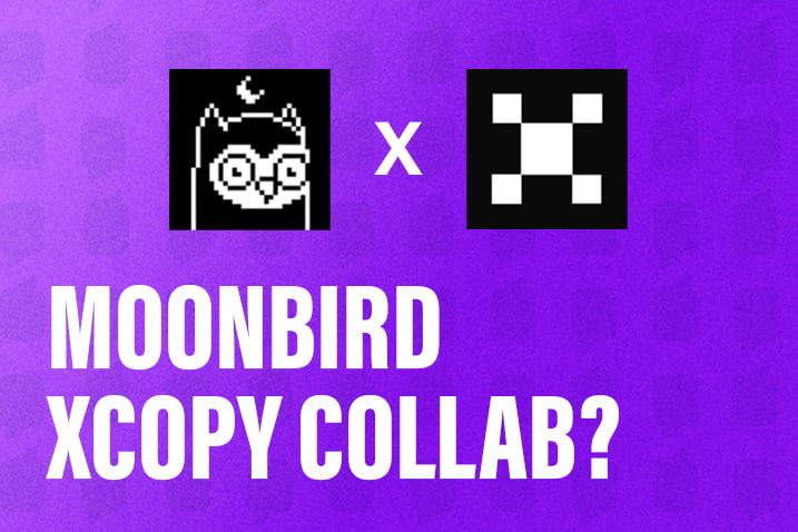 Moonbirds Teases XCOPY Collab